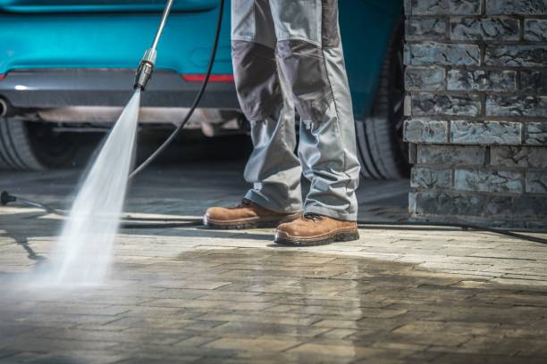Best Soft Washing  in Pineland, TX